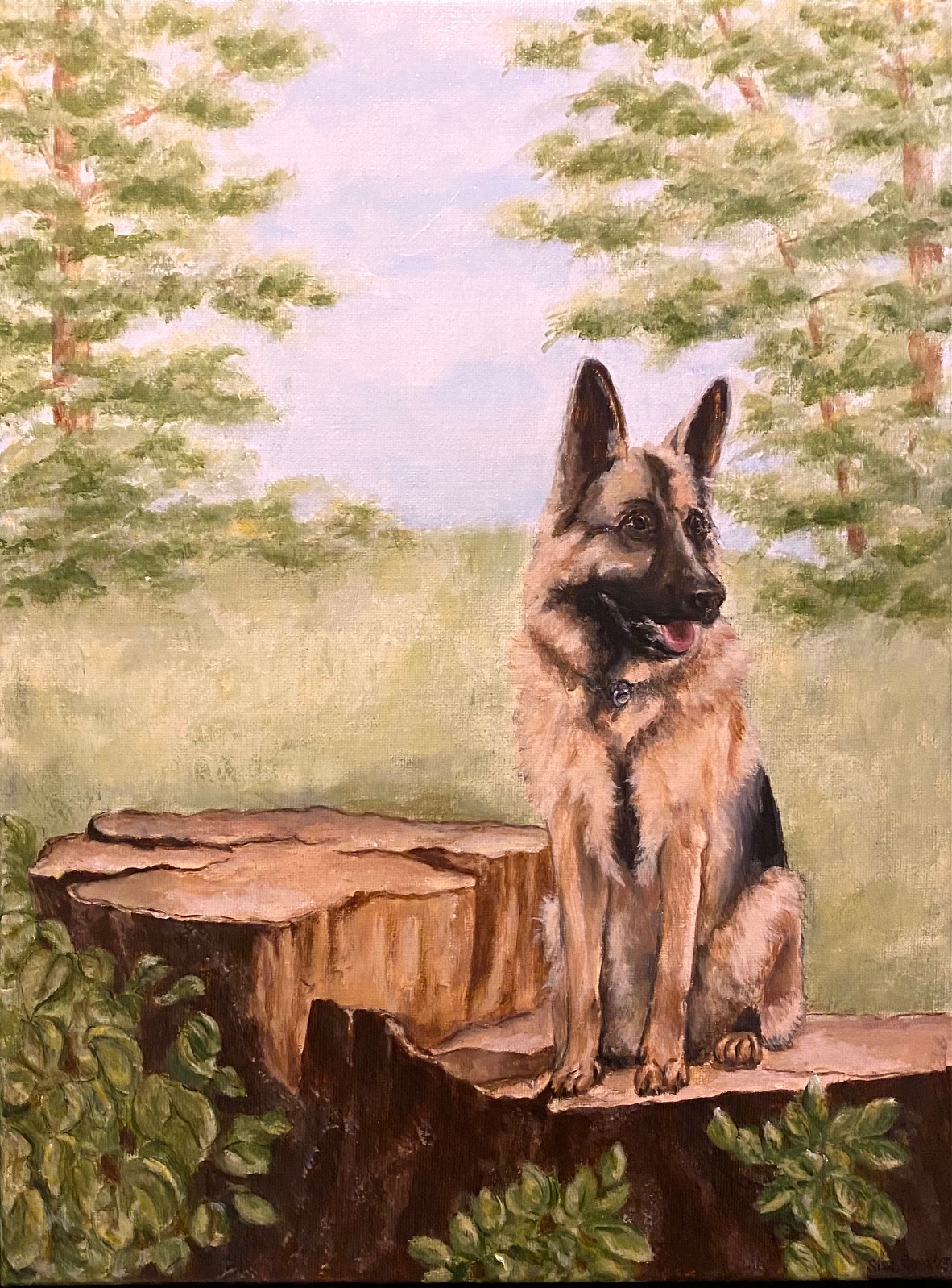 Schæferhund (bestilling)